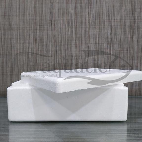 Speichern- Box Styrofoam 1Kg Uk. 30X20X10 Cm Sterofoam Bok Boks Sterofoam