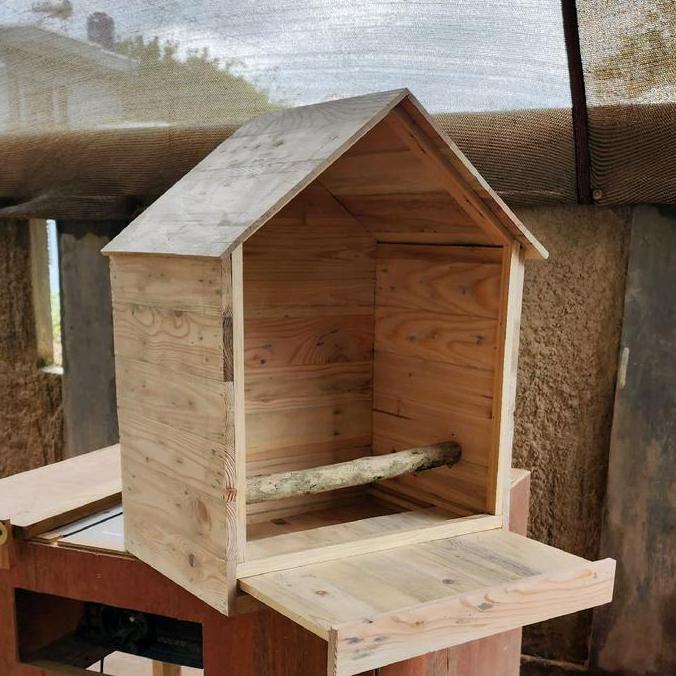 Rumah burung hantu glodok rumah owl