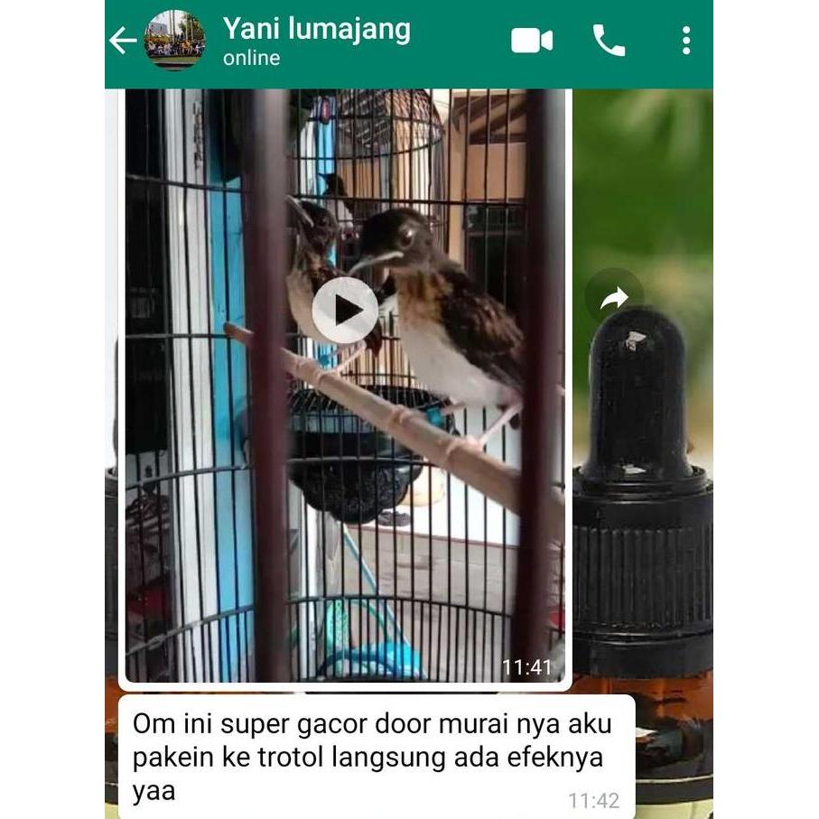 SUPER GACOR DOOR MURAI BATU