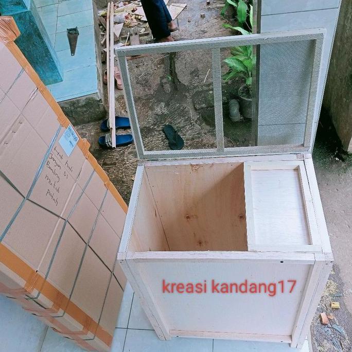 Termurah Box jangkrik ukuran jumbo / kandang jangkrik