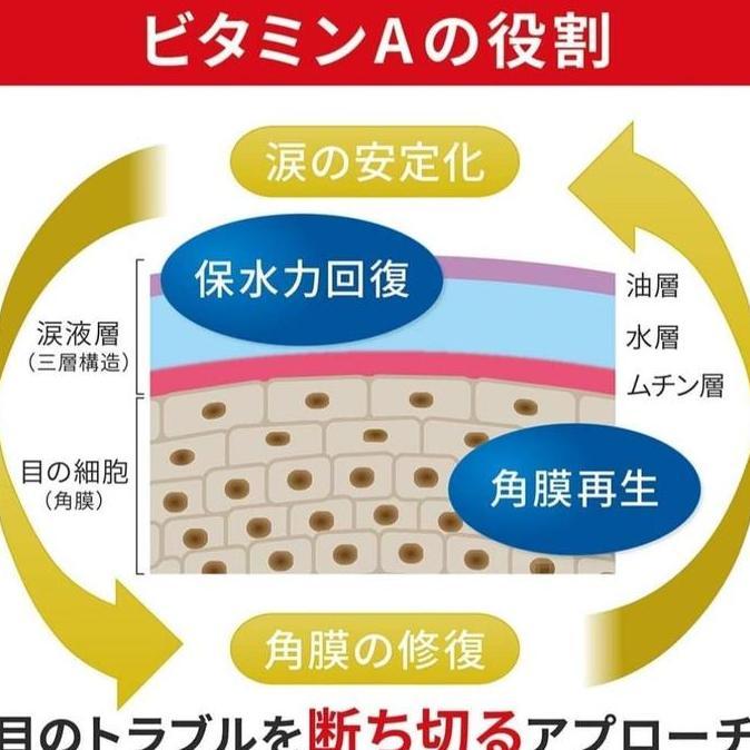 Occhio- 24Tokyo - Obat Tetes Mata Lion Smile 40 Gold Ex Contact Lens Eyedrop
