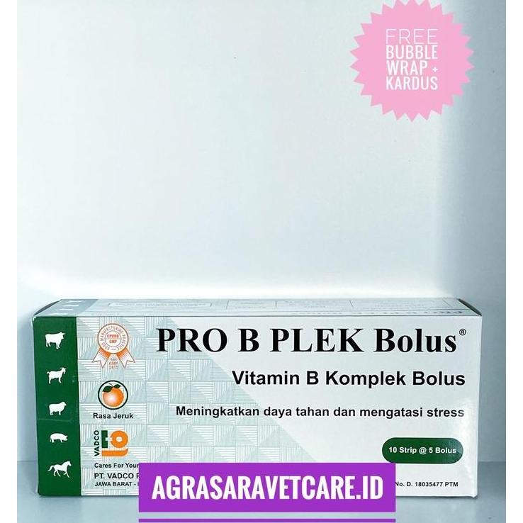 PRO B PLEK 1 DUS (50 BOLUS)- Vitamin B kompleks Hewan BOLUS RASA JERUK