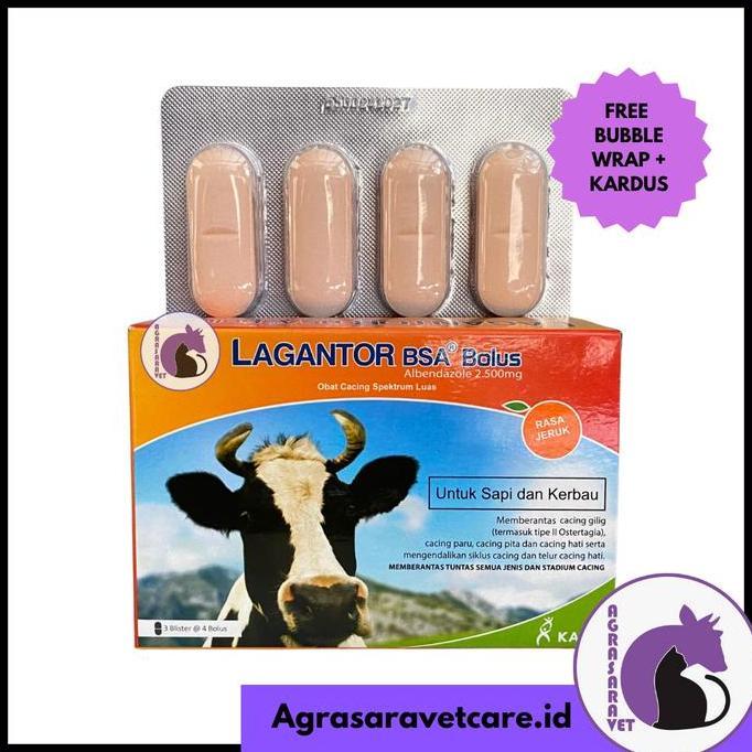 LAGANTOR BSA 1 Dus (isi 12 Bolus) - Obat Cacing Sapi Paling Ampuh Rasa Jeruk
