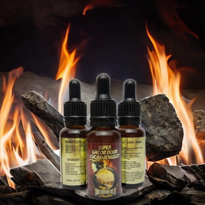 SUPER GACOR DOOR CUCAK JENGGOT PENGGACOR SEKETIKA