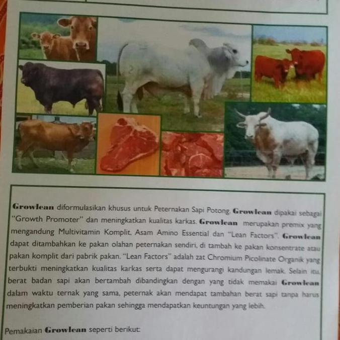 Menvit Mineral dan Vitamin KWALITAS PREMIUM Sapi Kabing Domba