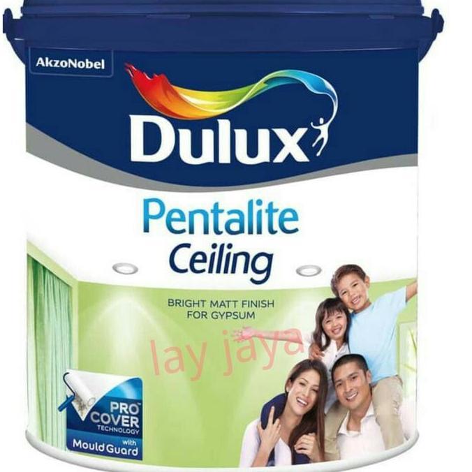 Dulux Pentalite Ceiling 25 kg