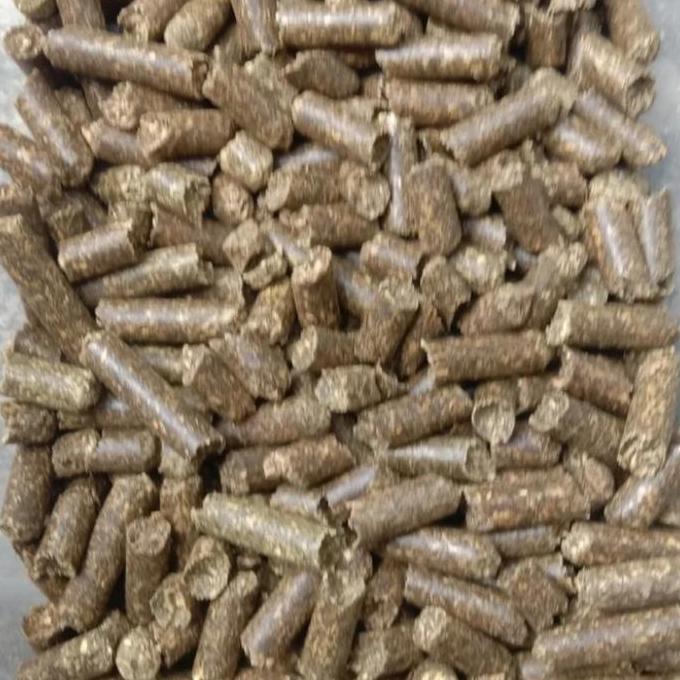 pelet kambing, sapi, kelinci murah