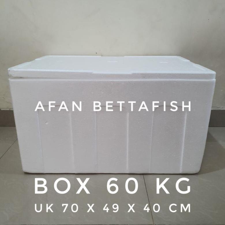 STYROFOAM BOX 60KG 70 x 49 x 40 CM BOX STEREFOAM 60 KG