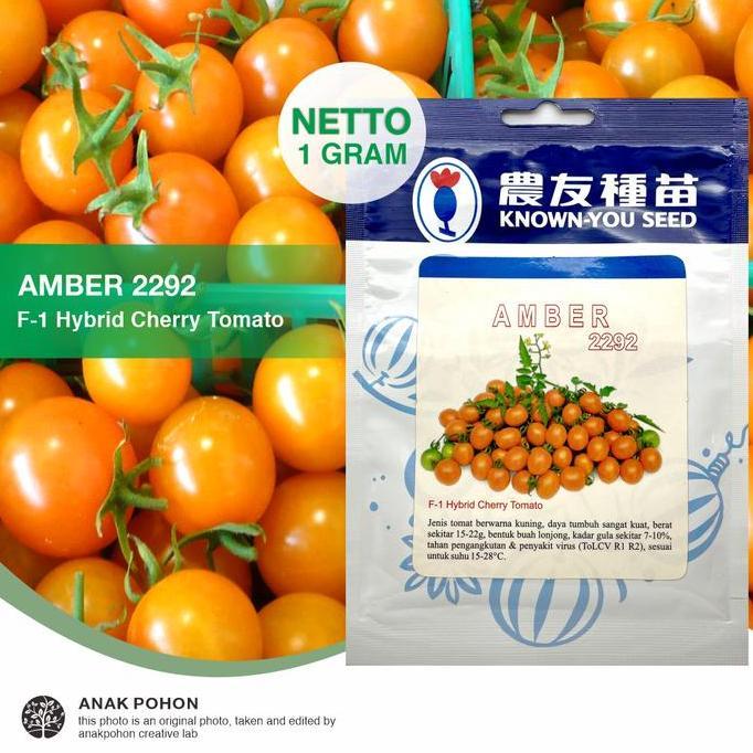 (1 PACK) Benih Tomat Mini Amber 2292 F1 Hybrid Tomato Seeds - 1 GRAM