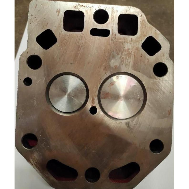 Cylinder Head Zs1125 Complete Cylinder Head Diesel Zs1125