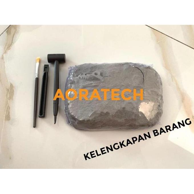Mainan edukasi anak fosil dinosaurus / gypsum archaeology toys / fosil
