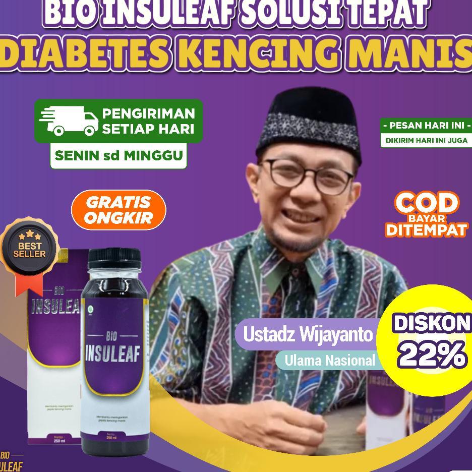 Bio Insuleaf Solusi Diabetes Original 1 Botol