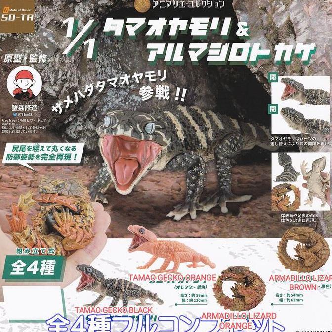 New SOTA tamao gecko & armadillo lizard gachapon (assembled type)
