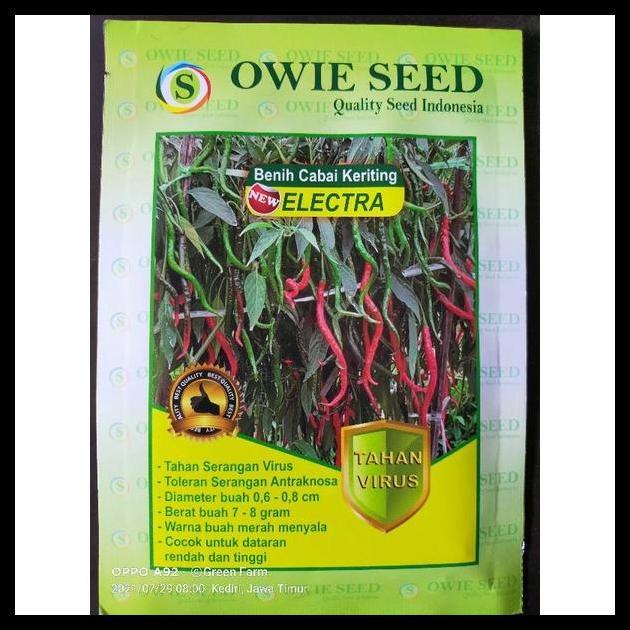 Promo / Cabe Electra Benih Cabe Tahan Virus Original Pabrik 13Gr