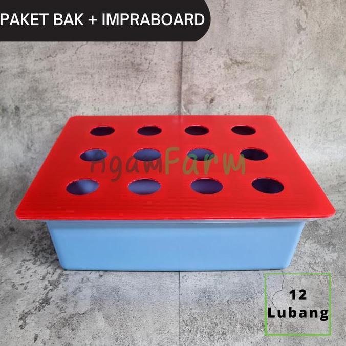 Paket bak impraboard - 12 Lubang Tanam