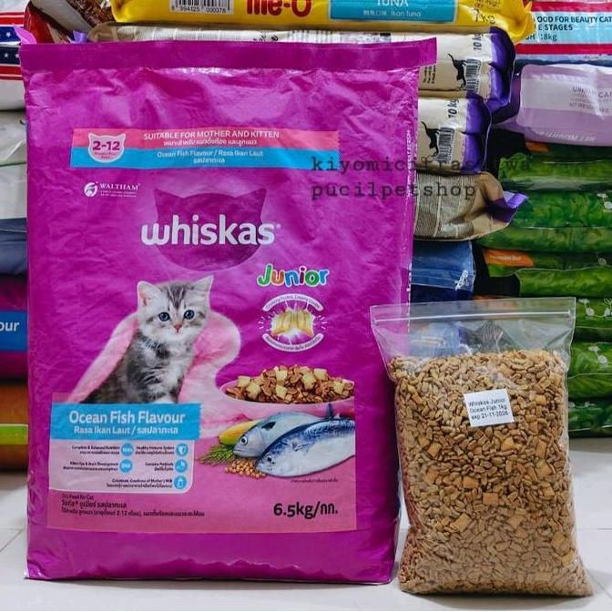 Whiskas Junior Ocean Fish 1kg Makanan Kucing Whiskas Makanan Kitten Makanan Anak Kucing Whiskas Juni