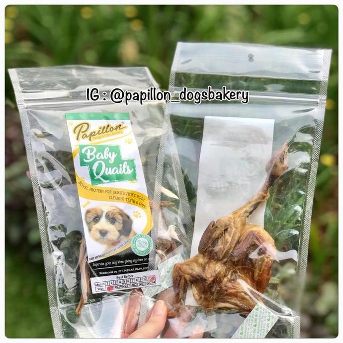 Dogndog- Dried Baby Quail - Papillon Snack Anjing Kucing Burung Puyuh