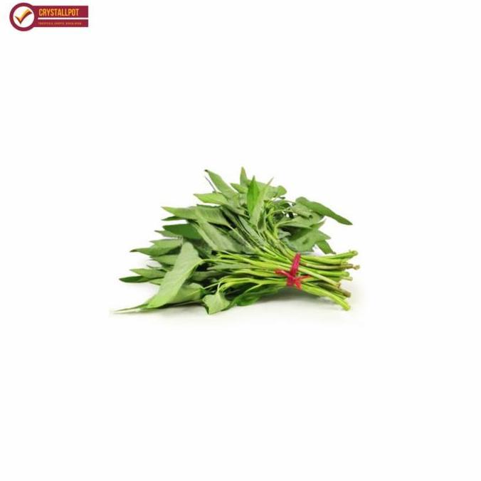 Glasrai- Benih Bibit Kangkung Bangkok Lp Cap Panah Merah - Kangkung Bangkok Lp