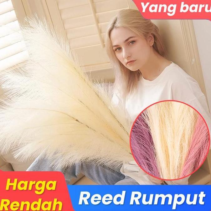 TERBARU|TERMURAH|BARU|PREMIUM|TERLARIS|GARANSI|DISKON|PROMO PAMPAS 12 PCS / TANPA BULU/ PAMPAS/ BUNG