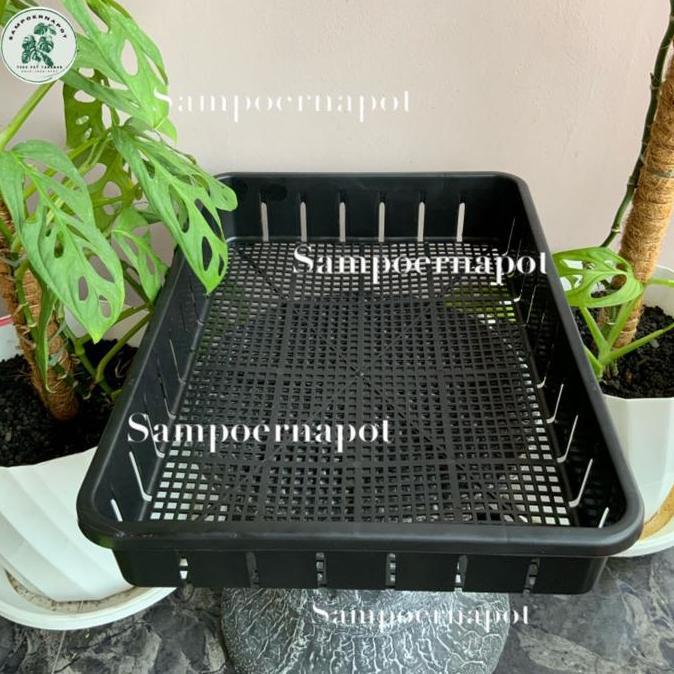 Glasrai- Tray Pot Untuk Semai Bibit Hidroponik 50Cm - Tray Pot Nkt 50Cm