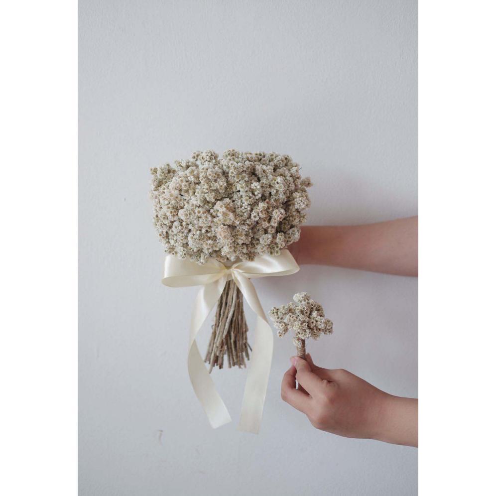 Diskon Edelweiss | Hand Bouquet Small - Buket Bunga Kering Edelweiss Edelweis Dried Flowers / Pre We
