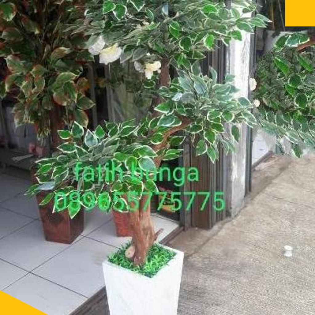 Pohon Bonsai Beringin Lis Putih Bunga Plastik Bunga Hias