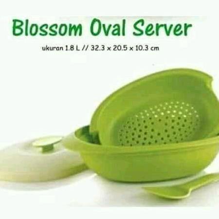 BEBAS ONGKIR - BLOSSOM TUPPERWARE ECER  /WADAH PRASMANAN/ WADAH SAJI TUPPERWARE