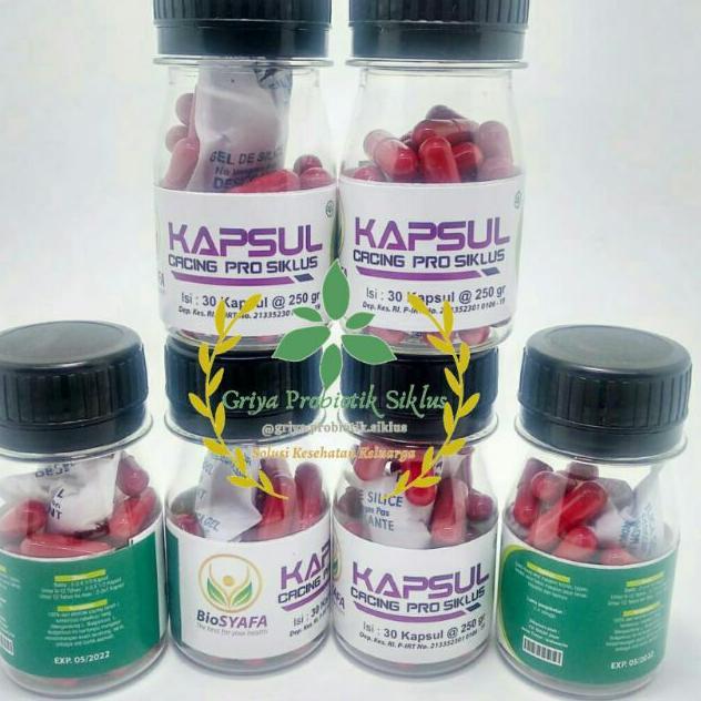 Kapsul Cacing Probiotik Biosyafa