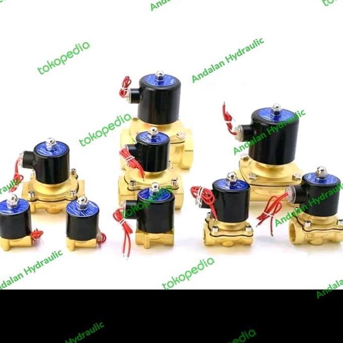 Solenoid Valve Kuningan 2 Way 1/2" Nc Ac220 / Solenoid Valve 2Way 1/2" Terbatas