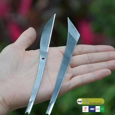Stainless steel carving knife pisau ukir sayat bonsai buah kelapa