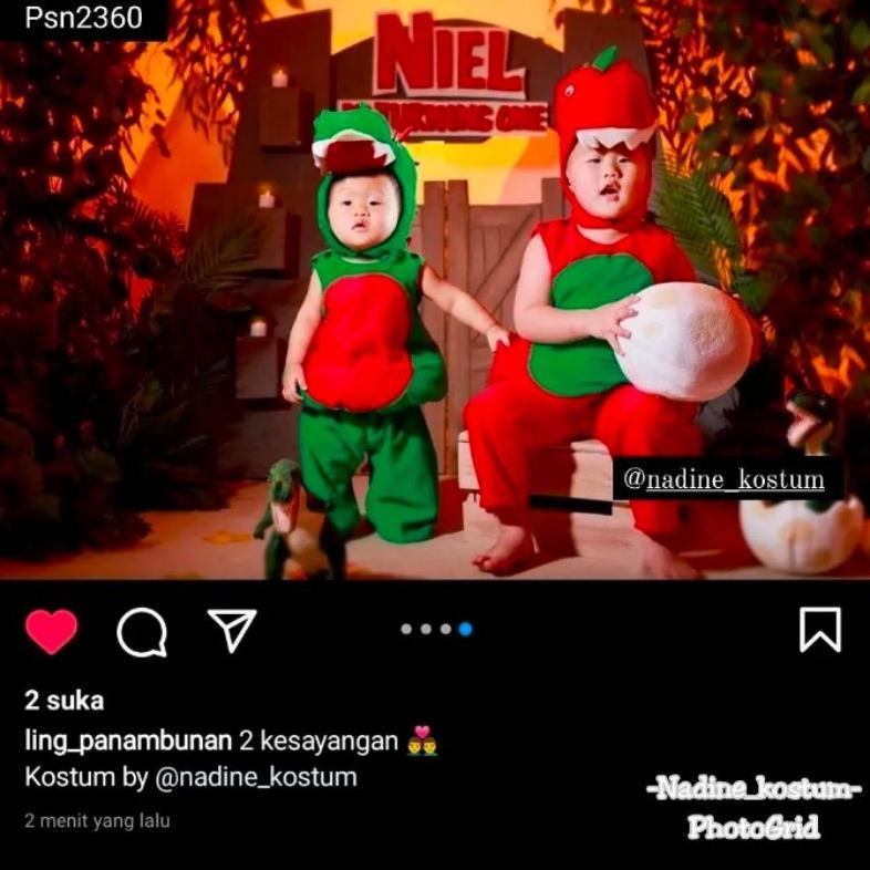 Diskon Kostum Dinosaurus/Kostum Dino/Kostum Binatang/Kostum Binatang Anak/Kostum Hewan/Kostum Dino A