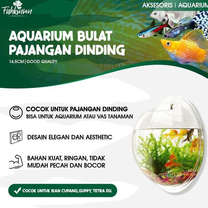 TERLARIS AQUARIUM AKRILIK DINDING BULAT 16,5CM