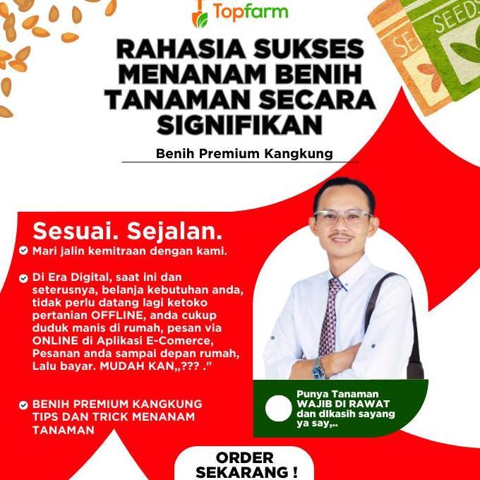 Benih Kangkung Premium - Bibit Kangkung Terbaik / Biji Benih Tanaman Kangkung