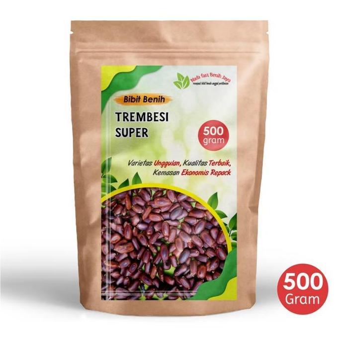 500 Gram Biji benih pohon trembesi super / bibit tanaman biji trembesi