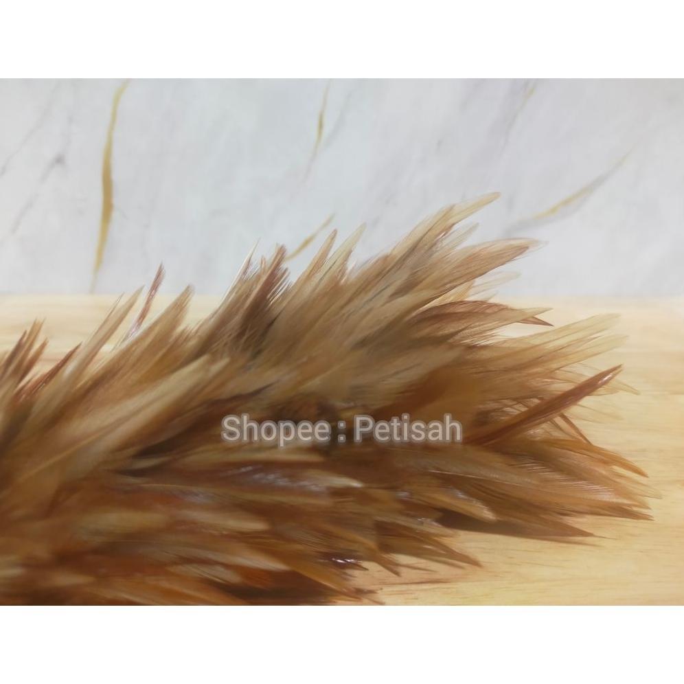 Best Sale Kemoceng Bulu Ayam Mini Premium Import Size Xs / Bulu Ayam Pembersih Debu / Feather Duster
