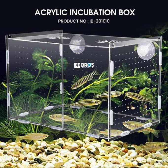 Duniaikanqita- Acrylic Incubation Box / Isolation Box / Akrilik Karantina Ikan