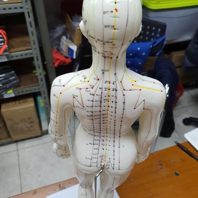 Lengkappoll- Patung Akupuntur Model Nita / Boneka Titik Titik Akupuntur