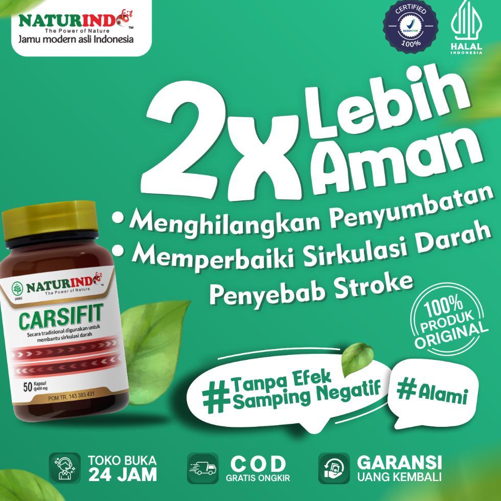 Obat Herbal Sakit Stroke Struk Strok Setruk Struke Carsifit Untuk Stroke Tremor Herbal Paling Ampuh