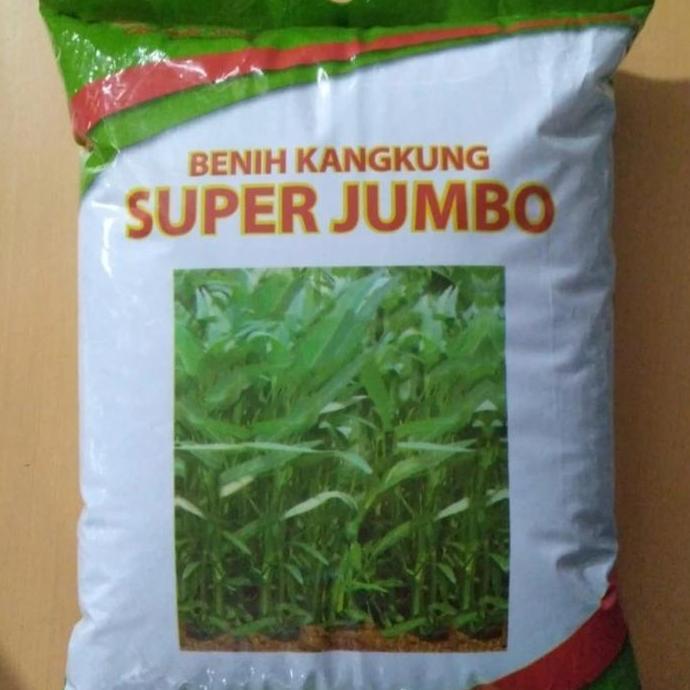 super jumbo benih kangkung 5 kg