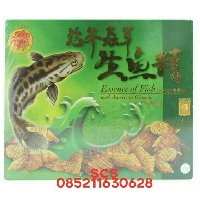 Fu Gui Essence Of Fish. Sari Pati Ikan Haruan/Gabus