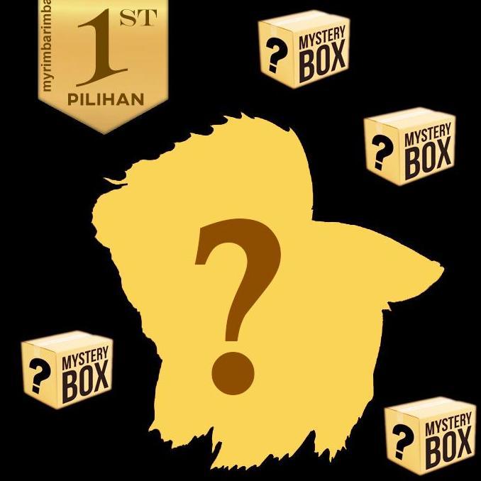 Mystery Box Cupang Halfmoon Ikan Hias Hiasan Aquarium Aquascape