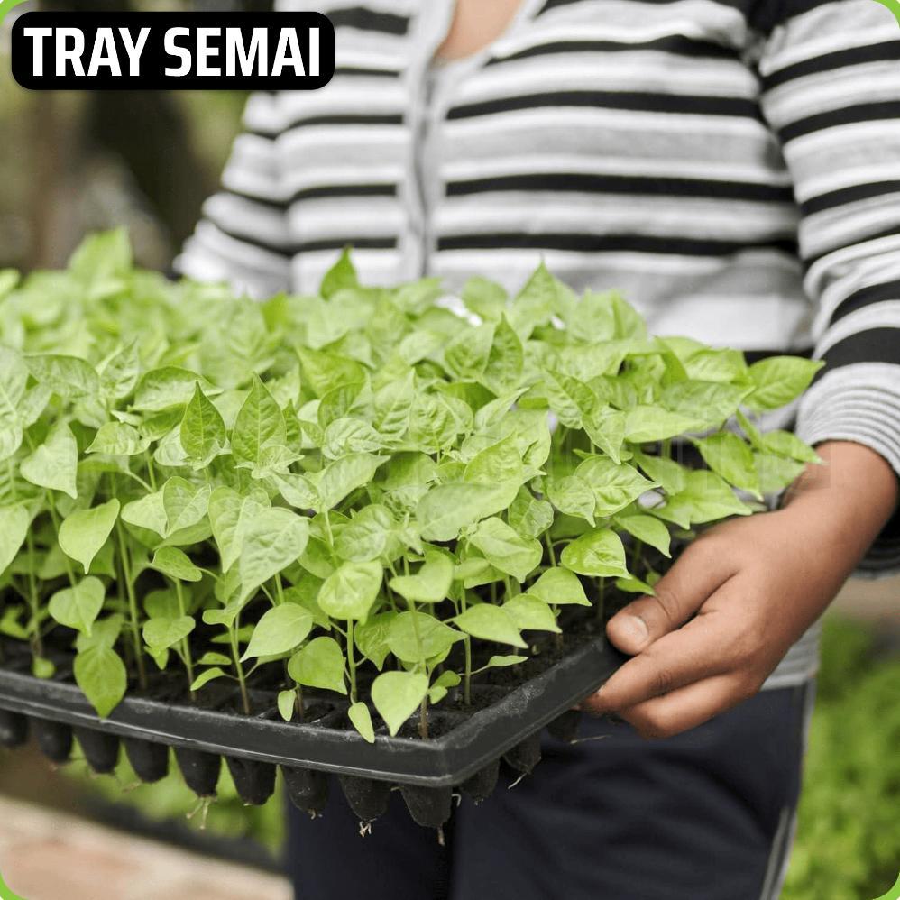 Promo Cod Tray Semai Pet, Pot Tray Penyemaian Bibit Tanaman, 200 Lubang / 200 Holes Seedling Tray ><