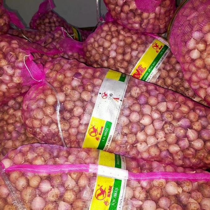 GRATIS ONGKIR Bawang Putih Tunggal/Bawang Lanang Tunggal Import Jumbo 1KG