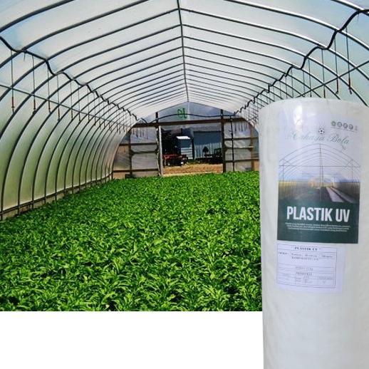 Plastik Uv Lebar 4 Meter Tebal 250 Mikron