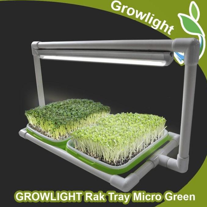 TERMURAH - Mini Kit GROWLIGHT TRAY MICROGREENS 2 Tray
