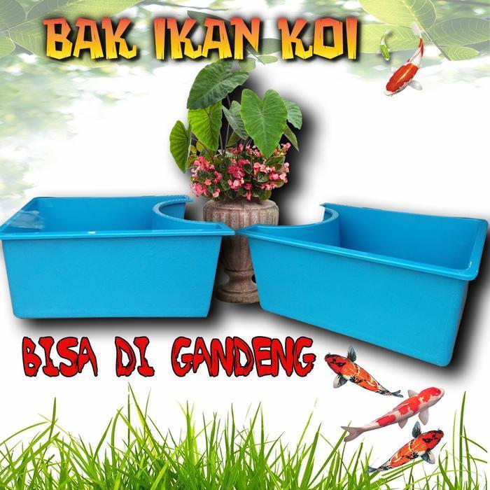 Bak ikan Koi / Kolam Ikan / Aquarium ikan taman