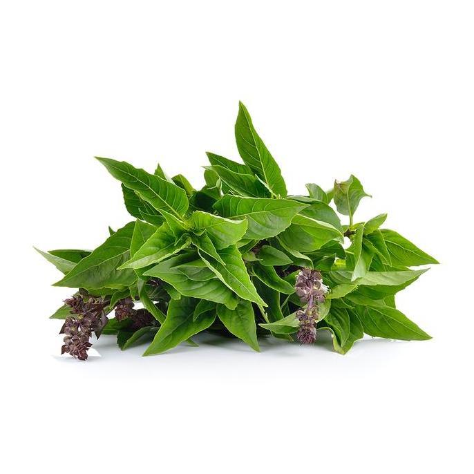 Promo Daun Thai Basil Segar Langsung Panen - 1 Kg