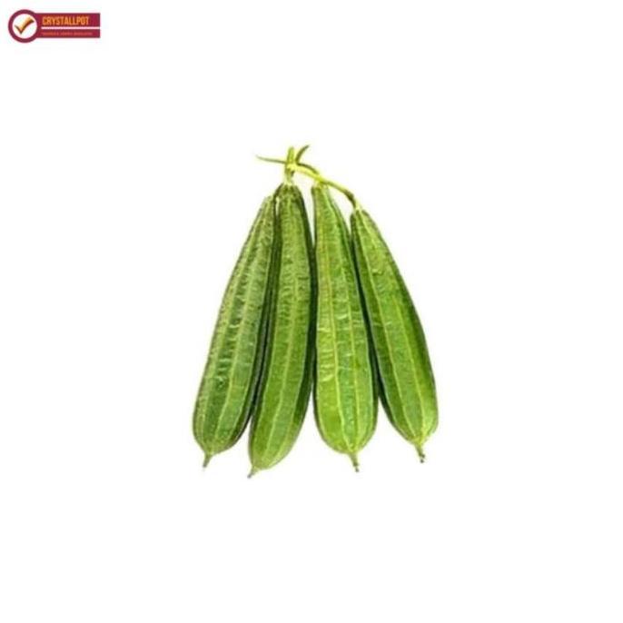 Huayuan- Benih Bibit Oyong Azura F1 Cap Panah Merah - Oyong Azura F1