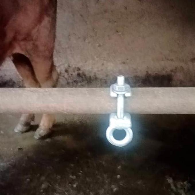 Safety Clamp for Scafolding