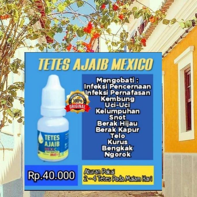tetes ajaib mexico obat burung merpati sakit lesu lumpuh full power te